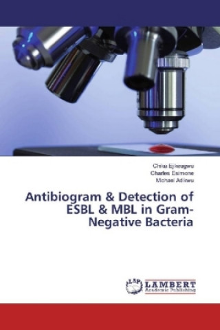 Könyv Antibiogram & Detection of ESBL & MBL in Gram-Negative Bacteria Chika Ejikeugwu