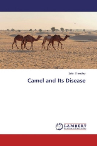 Kniha Camel and Its Disease Zafar Chaudhry