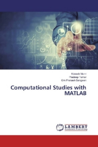 Kniha Computational Studies with MATLAB Mukesh Mann