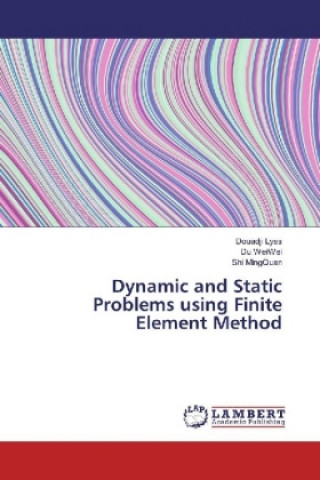 Knjiga Dynamic and Static Problems using Finite Element Method Douadji Lyes