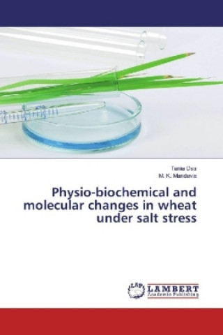 Książka Physio-biochemical and molecular changes in wheat under salt stress Tania Das