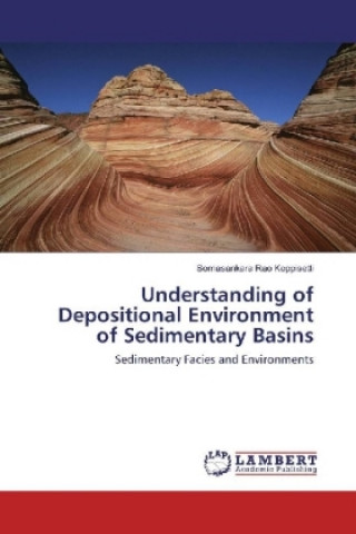 Knjiga Understanding of Depositional Environment of Sedimentary Basins Somasankara Rao Koppisetti