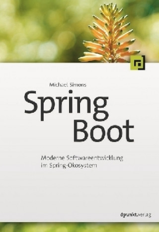 Carte Spring Boot 2 Michael Simons