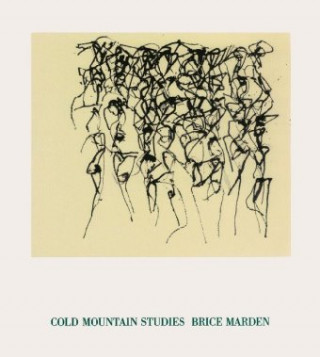 Libro Cold Mountain Studies Brice Marden