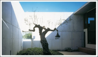Knjiga New Patio Design 