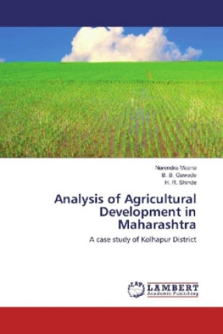 Kniha Analysis of Agricultural Development in Maharashtra Narendra Meena