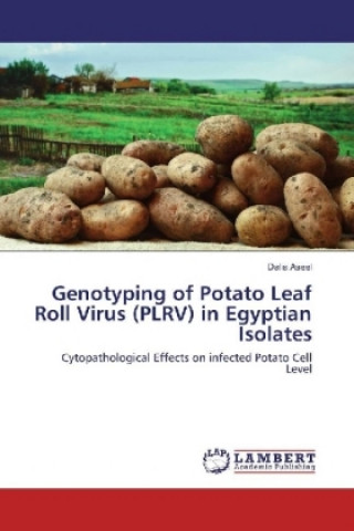 Kniha Genotyping of Potato Leaf Roll Virus (PLRV) in Egyptian Isolates Dalia Aseel