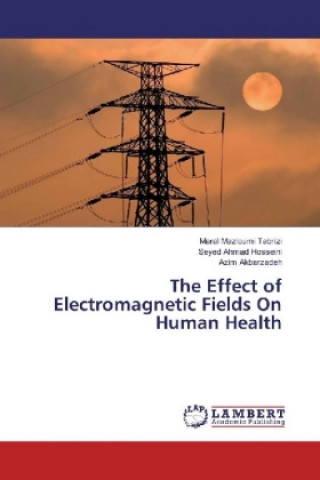 Könyv The Effect of Electromagnetic Fields On Human Health Maral Mazloumi Tabrizi