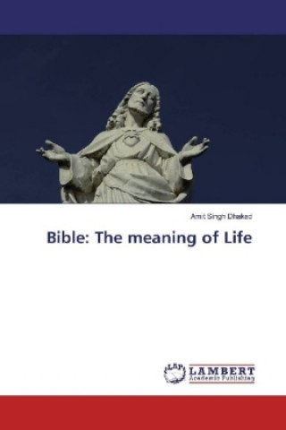 Könyv Bible: The meaning of Life Amit Singh Dhakad