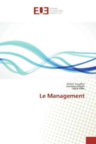 Könyv Le Management Ahlem Soualhia