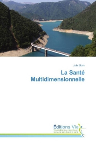 Könyv La Santé Multidimensionnelle Julie Morin