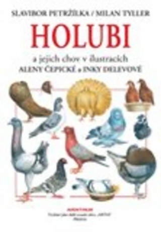 Book Holubi a jejich chov Slavibor Tyller Milan Petržílka