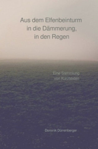 Könyv Aus dem Elfenbeinturm in die Dämmerung, in den Regen Dominik Dürrenberger