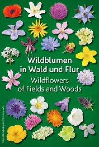 Carte Wildblumen in Wald und Flur 