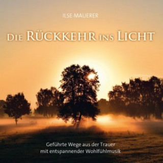 Audio Die Rückkehr ins Licht, Audio-CD Ilse Mauerer