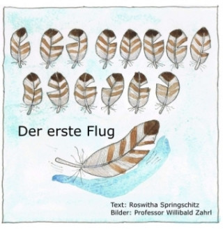 Knjiga Der erste Flug Roswitha Springschitz