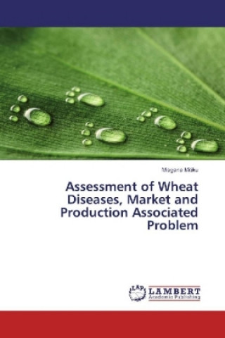 Könyv Assessment of Wheat Diseases, Market and Production Associated Problem Misgana Mitiku