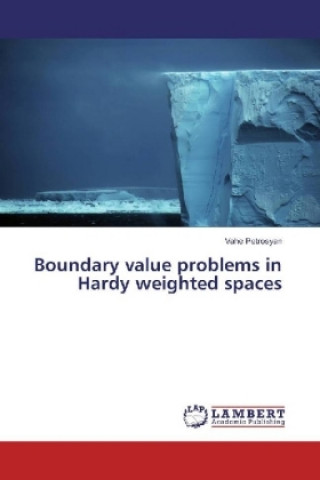 Kniha Boundary value problems in Hardy weighted spaces Vahe Petrosyan