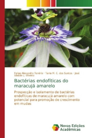 Kniha Bacterias endofiticas do maracuja amarelo Felipe Alexandre Tenório