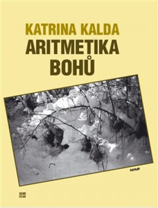 Kniha Aritmetika bohů Katrina Kalda