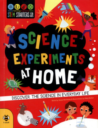 Libro Science Experiments at Home Susan Martineau