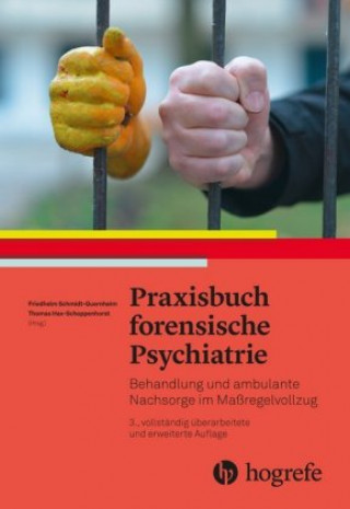 Kniha Praxisbuch forensische Psychiatrie Friedhelm Schmidt-Quernheim