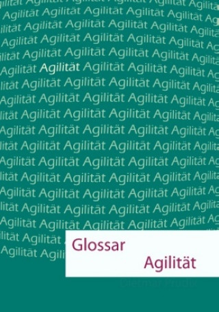 Kniha Glossar Agilität Dietmar Prudix