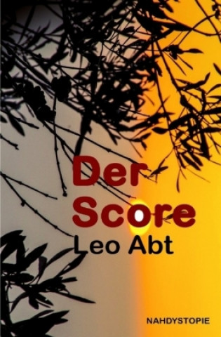 Könyv Der Score Leo Abt