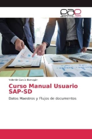 Kniha Curso Manual Usuario SAP-SD Valentín García Barragán