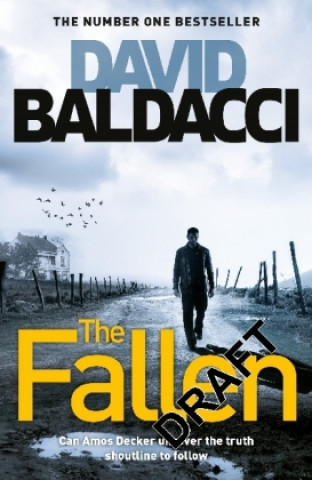 Book Fallen David Baldacci