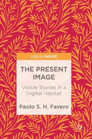 Книга Present Image Paolo S. H. Favero