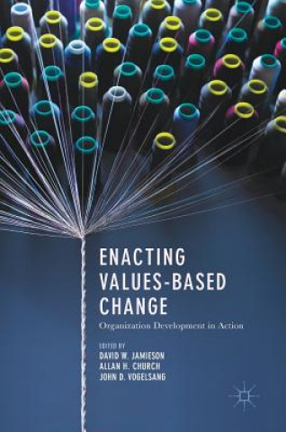 Buch Enacting Values-Based Change David Jamieson