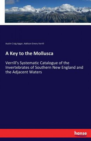 Carte Key to the Mollusca Austin Craig Apgar