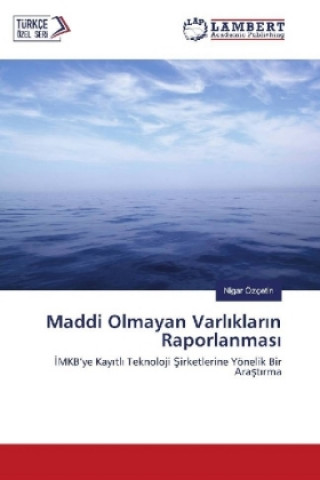 Libro Maddi Olmayan Varliklarin Raporlanmasi Nigar Özçetin