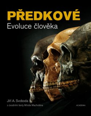 Könyv Předkové Evoluce člověka Jiří Svoboda