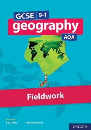 Kniha GCSE 9-1 Geography AQA Fieldwork David Holmes