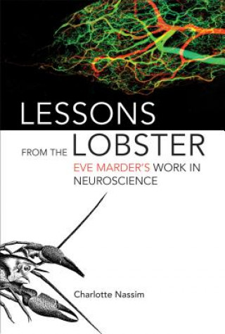 Kniha Lessons from the Lobster Charlotte Nassim