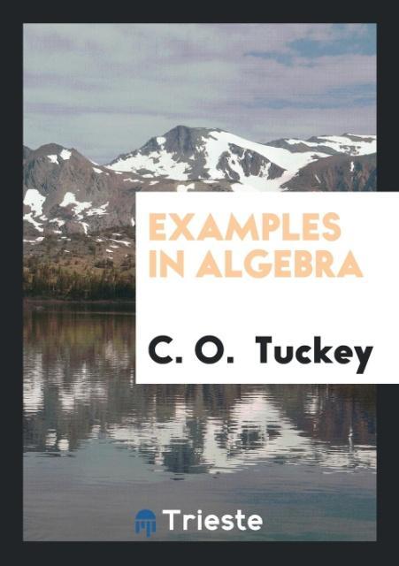 Könyv Examples in Algebra C. O. TUCKEY