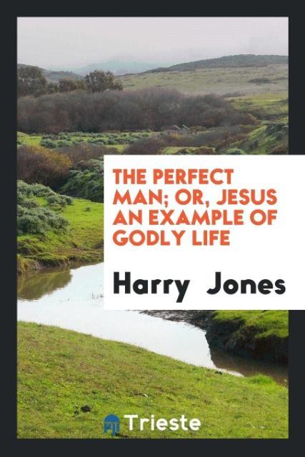 Książka Perfect Man; Or, Jesus an Example of Godly Life HARRY JONES