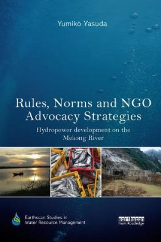 Kniha Rules, Norms and NGO Advocacy Strategies Yasuda