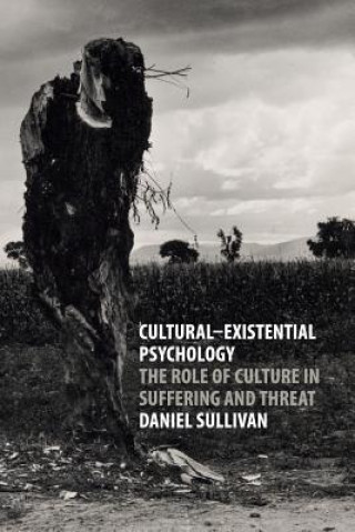 Книга Cultural-Existential Psychology SULLIVAN  DANIEL