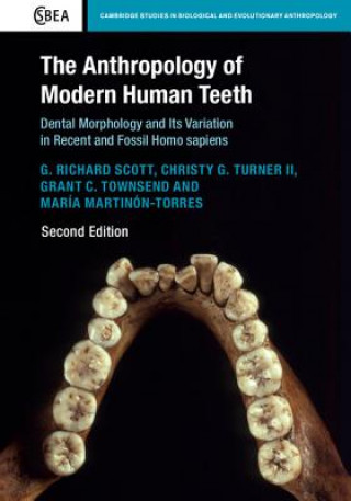 Kniha Anthropology of Modern Human Teeth Scott