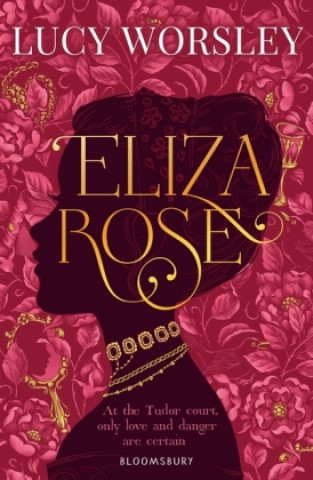 Buch Eliza Rose Lucy Worsley