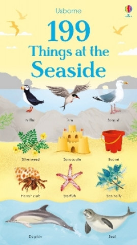Книга 199 Things at the Seaside NOT KNOWN
