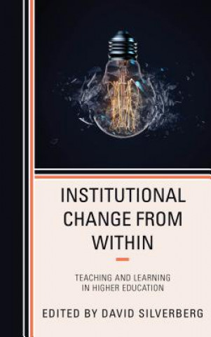 Книга Institutional Change from Within David Silverberg