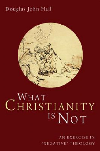 Carte What Christianity Is Not DOUGLAS JOHN HALL
