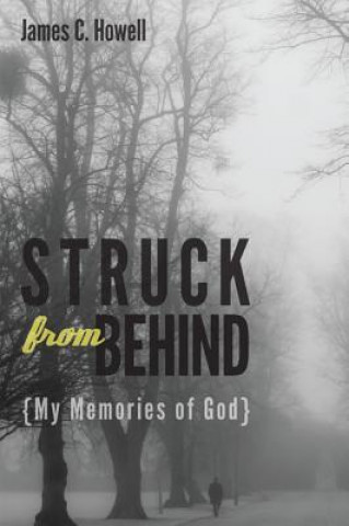 Βιβλίο Struck from Behind JAMES C. HOWELL