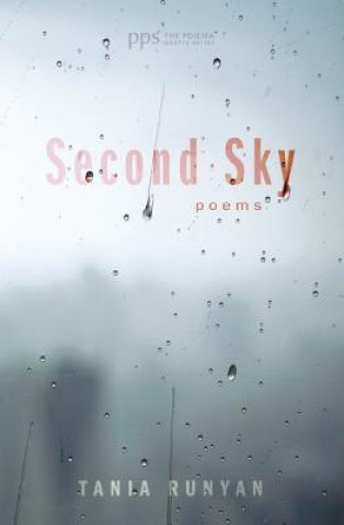 Βιβλίο Second Sky TANIA RUNYAN