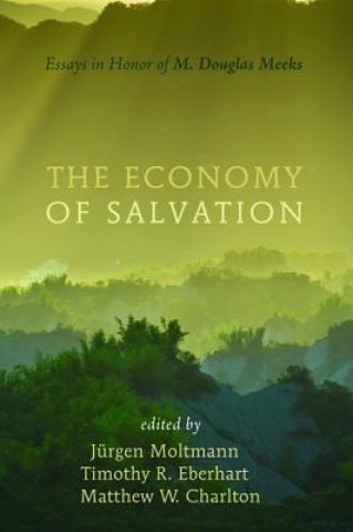 Kniha Economy of Salvation J RGEN MOLTMANN