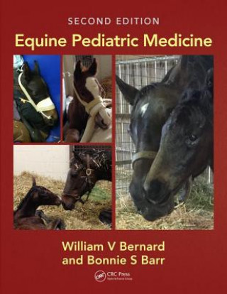 Книга Equine Pediatric Medicine William V. Bernard